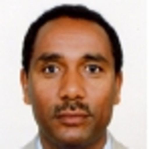 Prof. Dr. Yemane Berhane-image